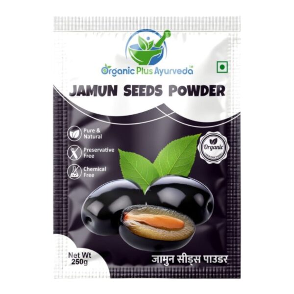 Jamun Seeds Powder 250gm - Image 2