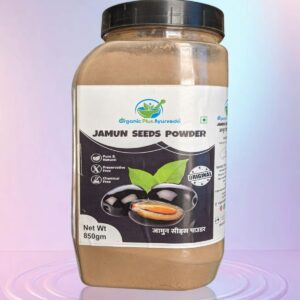 Jamun Seeds Powder 850gm