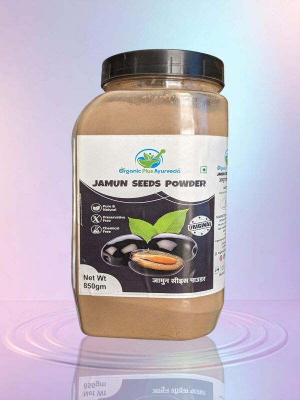 Jamun Seeds Powder 850gm